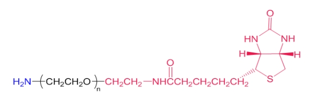 生物素聚乙二醇氨基、Biotin PEG Amine